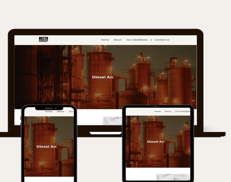 Web Design Services Abuja Potfolio 4